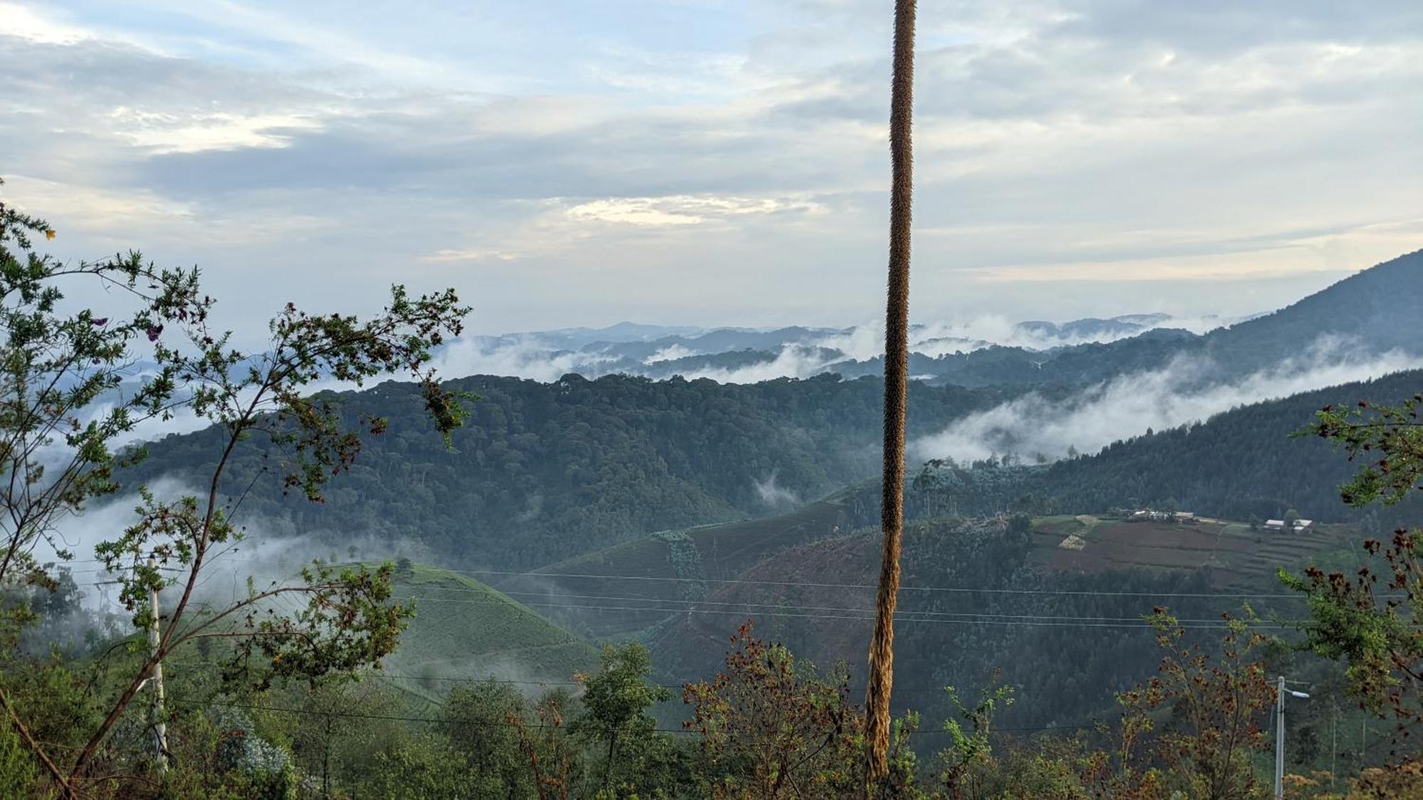 Nyungwe Village Kitabi Exterior photo